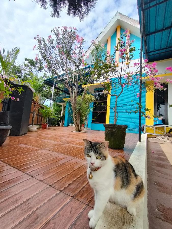 Omah Mendut Homestay Banyuwangi  Extérieur photo